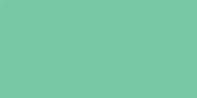 Mint -Zipper Invisible 14"
